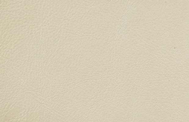 R31-Cloud Frost White